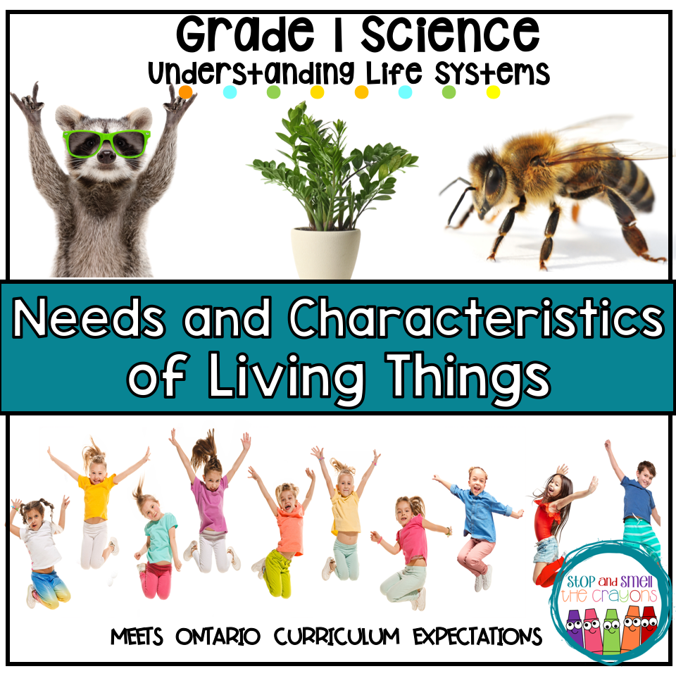 Needs And Characteristics Of Living Things Grade 1 Science Stop And Smell The Crayons
