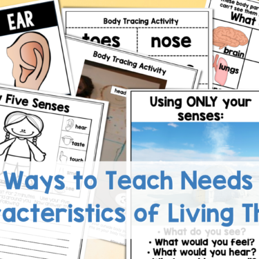 Use these fun and engaging activities to teach your students about the needs and characteristics of living things.