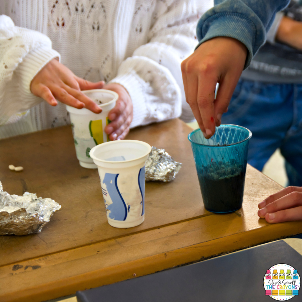 Bean seeds, magnifying glasses, rulers, and coffee filters which are all super easy to find at home make great science supplies for hands on learning.