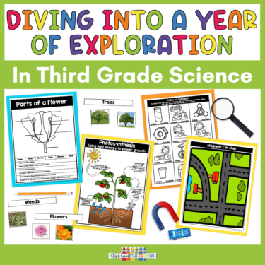 This image showcases different resources from my third grade science units including soil activities, a forces experiment and plant activities.