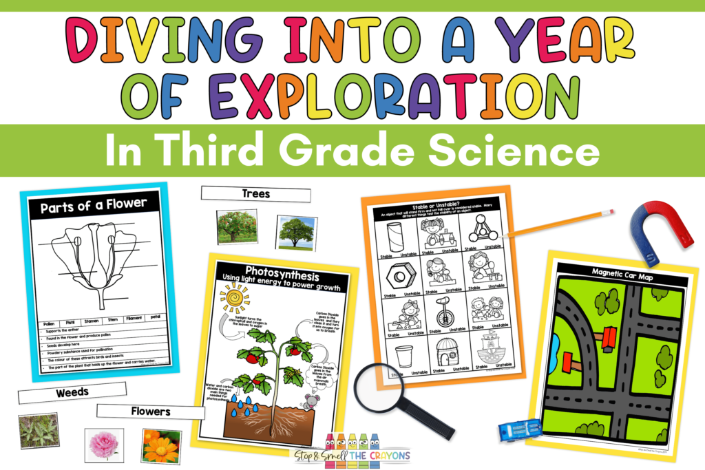 This image showcases different resources from my third grade science units including soil activities, a forces experiment and plant activities.