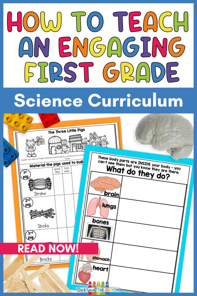 Wondering how to teach an engaging first grade science curriculum? In this post, I take you through teaching lessons in first grade science including resources, activity ideas and more that are both engaging as well as aligned to the Ontario Science Curriculum!