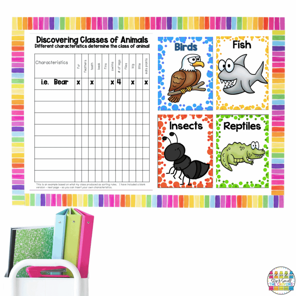 To kick off the growth and changes in animals unit, the Discovering Classes of Animals worksheet is perfect for class discussion.