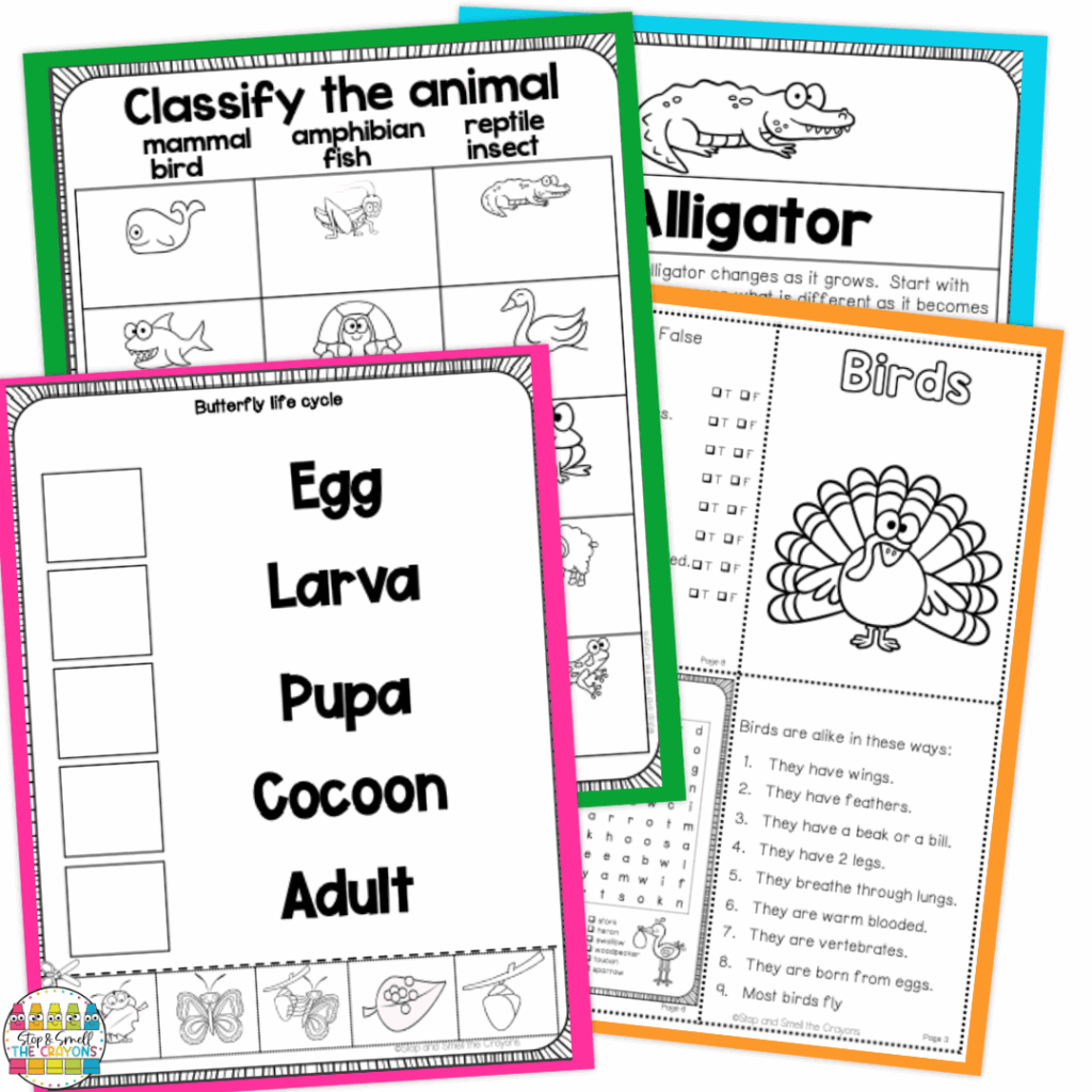 The growth and changes in animals unit is just one part of how science can look in your classroom.