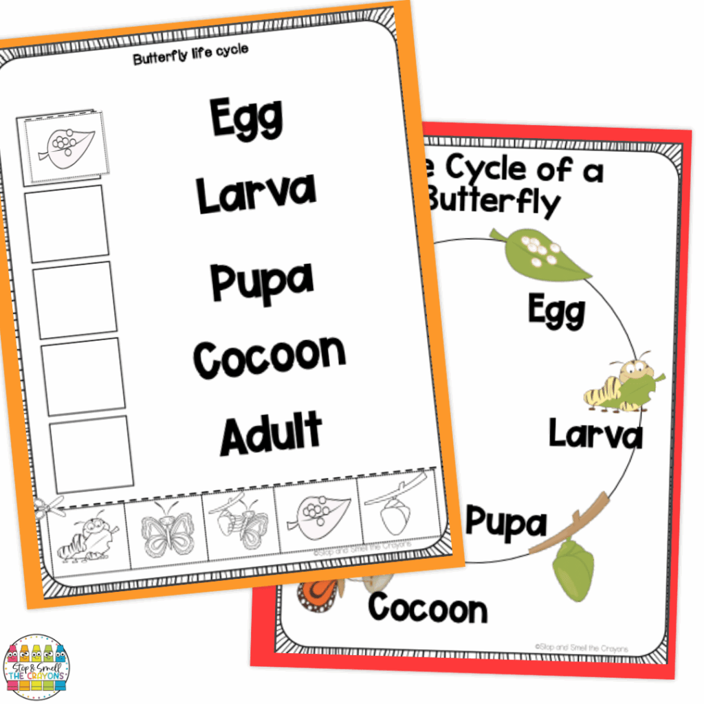 Help your students learn about life cycles with these colorful anchor charts and cut and paste sequencing activities.