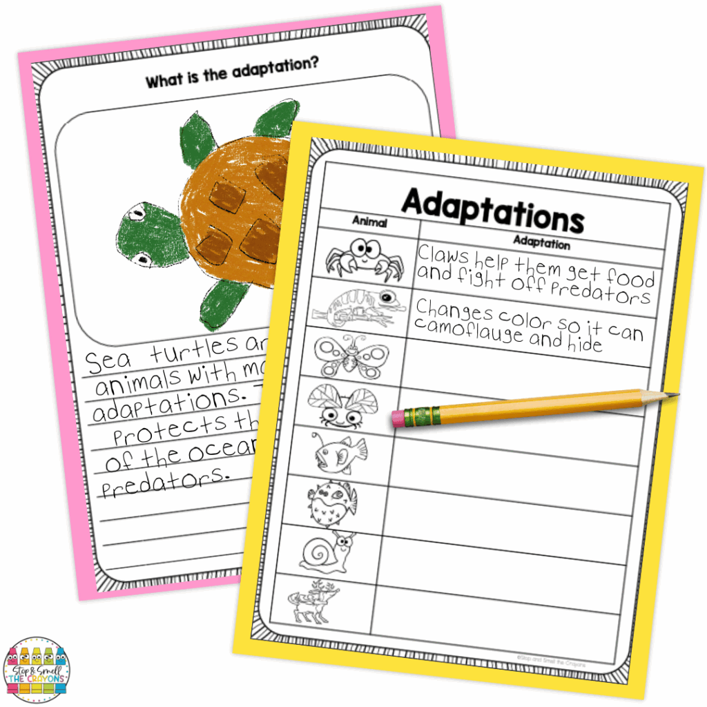 Students dive into learning about animal adaptations in this unit.
