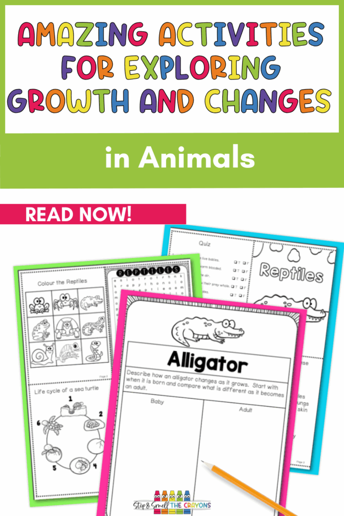 Are you ready to take your animal science lessons to the next level? This blog post details the fun and engaging activities you can use as you teach your elementary students about growth and changes in animals. From animal needs and life cycles to animal adaptations, your students will love these activities.