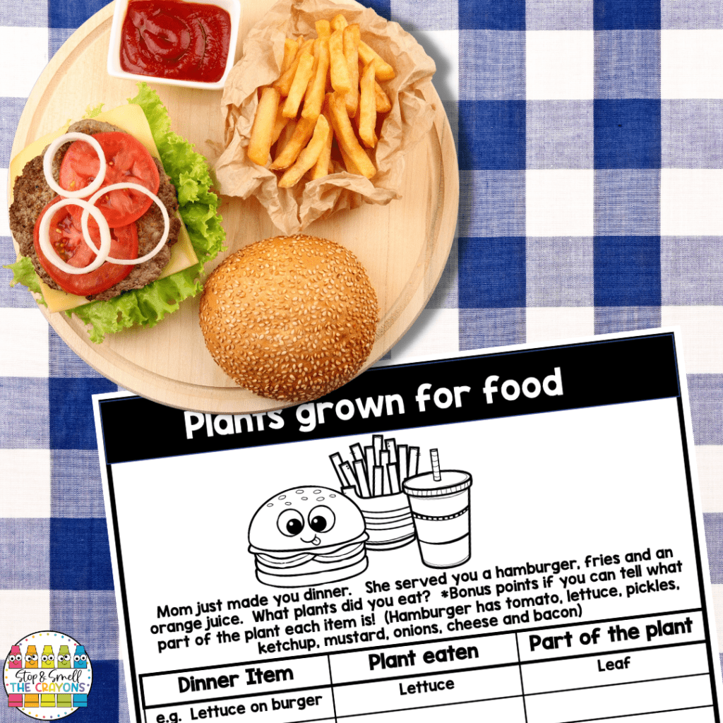 Help students learn to identify the plants they eat